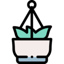 nature,pot,plant,farming and gardening,gardening,hanging,flower,botanic,ceiling,hanging pot